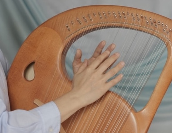 アントロポゾフィー音楽療法